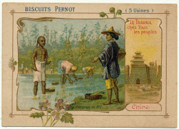 Biscuits PERNOT - Chine, Repiquage Du Riz - Pernot