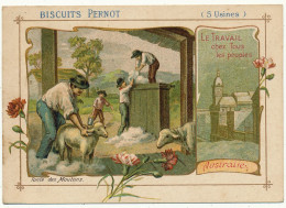 Biscuits PERNOT - Australie, Tonte Des Moutons - Pernot