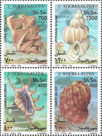 Somalia 1994 MNH LUXE Shells Marine Life Sea Ocean Undersea Africa Stamps FULL SET Margines Corner - Marine Life