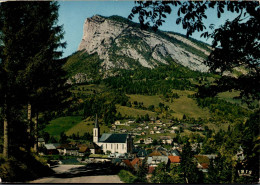 N°2269 Z -cpsm Saint Pierre D'Entremont -vue Générale- - Saint-Pierre-d'Entremont