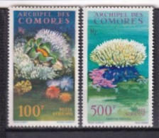 COMORES  NEUF MNH ** Poste Aerienne 1962 Faune Marine - Ungebraucht