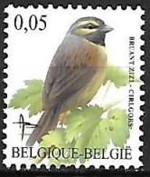 Belgium - MNH ** BUZIN - 2005 : Cirlgors -  Cirl Bunting   - Emberiza Cirlus - Songbirds & Tree Dwellers