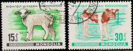 Mongolie 1968. ~ YT 428 + 430 - Jeunes Animaux - Mongolei