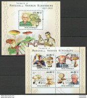 Bc1123 2010 Mozambique Marshall Nirenberg Mushrooms Chemistry Science Bl+Kb Mnh - Hongos