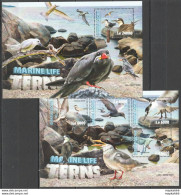 St310 2016 Sierra Leone Birds Fauna Marine Life Birds Terns Kb+Bl Mnh Stamps - Marine Life