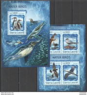 St319 2016 Sierra Leone Birds Fauna Marine Life Water Birds Kb+Bl Mnh Stamps - Marine Life