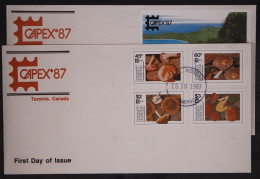 Dominica 1036-1039 Und Block 120 Gestempelt Als FDC / Pilze #GC079 - Dominique (1978-...)