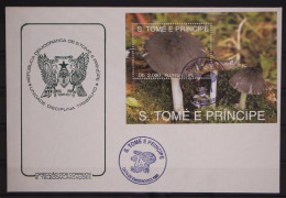 Sao Tome E Principe Block 296 Gestempelt Als FDC / Pilze #GC175 - Sao Tome And Principe