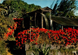 N°2282 Z -cpsm Antilles -vieux Moulin- - Moulins à Eau