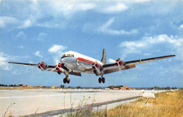DOUGLAS DC4 Quadrimoteur Compagnie AIR ALGERIE  Avion Aviation (scanR/V)   N° 48  MR8006 - 1946-....: Era Moderna