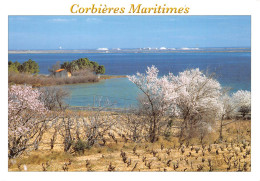11  PORT LEUCATE Corbières Maritimes      (Scan R/V) N°   52   \MR8085 - Leucate
