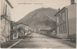 Drôme : LUc  En    DIOIS   : Avenue  De  Die - Luc-en-Diois