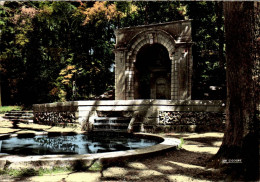 Delcampe - N°2291 Z -cpsm Langres -fontaine De La Grenouille- - Langres