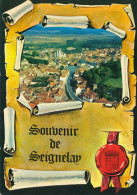 89) SEIGNELAY : Souvenir De ... (vue Aérienne) (1980) - Seignelay