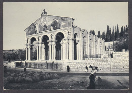 127755/ JERUSALEM, Gethsemane, Basilica Of Agony - Israel