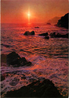 Coucher De Soleil - CPM - Voir Scans Recto-Verso - Controluce