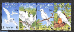 Ascension 1999 WWF, Birds 4v, Mint NH, Nature - Birds - World Wildlife Fund (WWF) - Ascensione