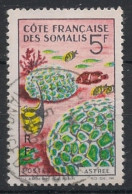 COTE DES SOMALIS - 1963 - N°YT. 316 - Faune Corallienne - Oblitéré / Used - Usati