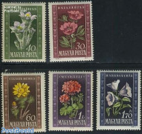 Hungary 1950 Flowers 5v, Mint NH, Nature - Flowers & Plants - Ungebraucht