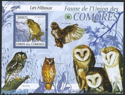 Comoros 2009 Owl S/s, Mint NH, Nature - Birds - Birds Of Prey - Owls - Comores (1975-...)