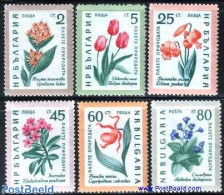 Bulgaria 1960 Flowers 6v, Mint NH, Nature - Flowers & Plants - Ongebruikt
