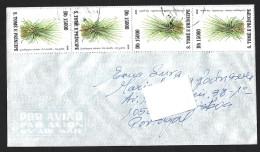 Carta São Tomé E Principe 4 Stamps 15000 Dobras. Cymbopogon Citratus. Chá Príncipe. Cymbopogon Citratus. Prince Tea. Bot - Sao Tome And Principe