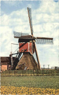 Holandse Molen - Windmühle - Windmills