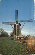 Hollandse Molen - Moulins à Vent