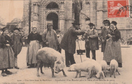 56   KERNASCLEDEN  LIGNOL  Une Foire  Conclusion D'un Marché  Pour La Vente D'une Famille De Porcs   SUP PLAN  1912 RARE - Le Faouet