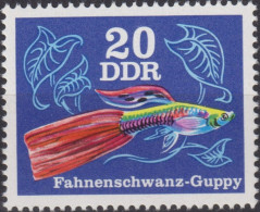 1976 DDR ** Mi:DD 2178, Sn:DD 1771, Yt:DD 1854, Sg:DD E1893,Fahnenschwanz-Guppy, Zierfisch - Neufs