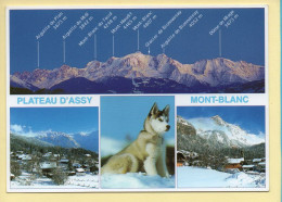 74. PLATEAU D'ASSY – Multivues / Chien Husky (voir Scan Recto/verso) - Passy