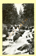 74. ASSY-PASSY - Les Cascades De L'Ugine / CPSM - Passy