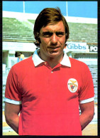 CLUBES DE FUTEBOL- SPORT LISBOA E BENFICA-« Adolfo » ( Ed. Trindade & Francisco Lda.) Carte Postale - Lisboa