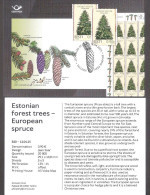 Forest Trees – European Spruce Estonia 2023 Stamp Presemtation Card (eng) Mi 1068 - Estonia