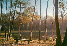 95 - Taverny - Forêt De Taverny - L'Etang Godard - CPM - Voir Scans Recto-Verso - Taverny