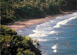 Guadeloupe - Basse Terre - La Plage - Scènes De Plage - CPM - Voir Scans Recto-Verso - Basse Terre