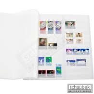 Schaubek Einsteckblätter Donau Eb100-10 Weiß Mit Mittelstreifen 10 Blatt Neu ( - Blank Pages