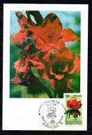 ITALIA - 1991 - MANIFESTAZIONE "EUROFLORA" - Cartes-Maximum (CM)