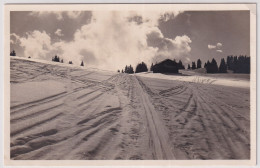 Skigelände Auf Dem Eggli Bei Gstaad - Gstaad