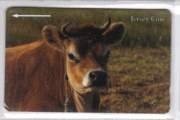 Carta Telefonica - Isola Di Jersey - Carte Telefoniche@Scheda@Schede@Phonecards@Telecarte@Telefonkarte - [ 7] Jersey Und Guernsey