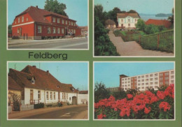 74355 - Feldberg, Feldberger Seenlandschaft - U.a. Apotheke In Fürstenberger Strasse - 1986 - Feldberg