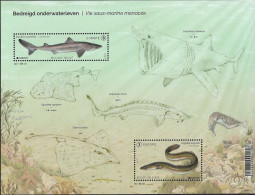 Belg 2024 - Vie Sous-marine Menacée  ** - Nuevos