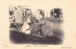 Algérie - Joueurs De Dominos - Ed. J. Geiser 135 - Mannen
