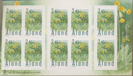 Aland 1999 Schlüsselblume Folienblatt 156 FB Postfrisch (C17490) - Aland