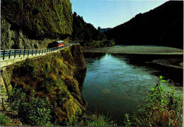 6-4-2024 (1 Z 14) New Zealand - Hawks Crag & Buller River - New Zealand