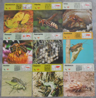 Editions Rencontre; 9 Cards With Hymenopterans (in Swedish) - Dieren