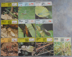 Editions Rencontre; 10 Cards With Various Insects (in Swedish) - Dieren