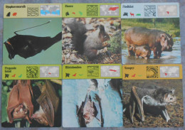 Editions Rencontre; 6 Cards With Bats, Fishes And Mammals (in Swedish) - Dieren