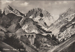 Cartolina Viaggiata Affrancata Francobollo Rimosso Carrara Ponti Di Vara 1954 - Carrara