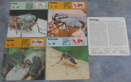Editions Rencontre; 5 Cards (4 Different) With Flies And Mosquitoes (in Swedish) - Dieren